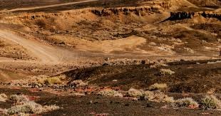 输浙江20分！王非点评，道出北控输球原因 球迷：张庆鹏下课吧