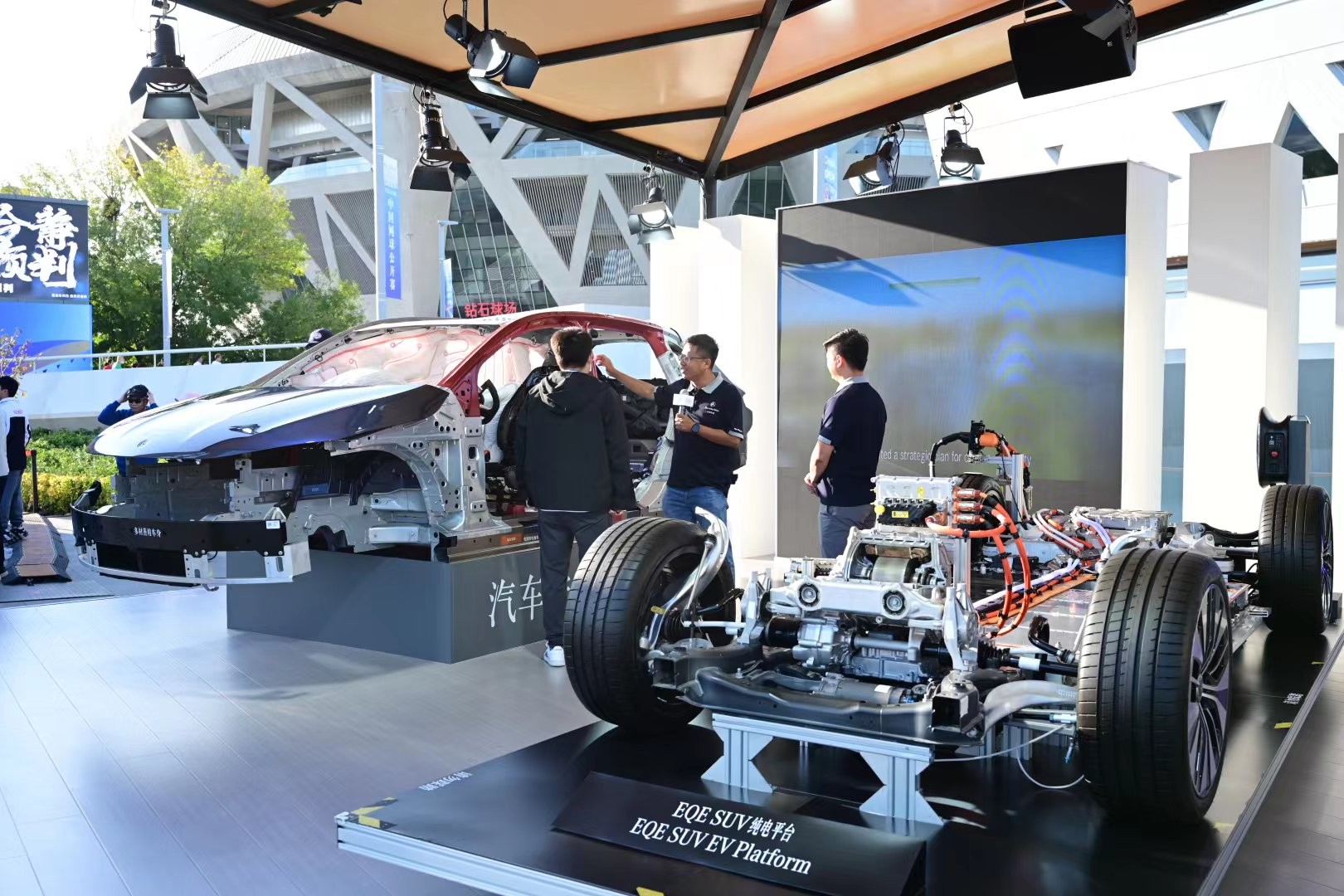 了巨大的活 了巨大的活